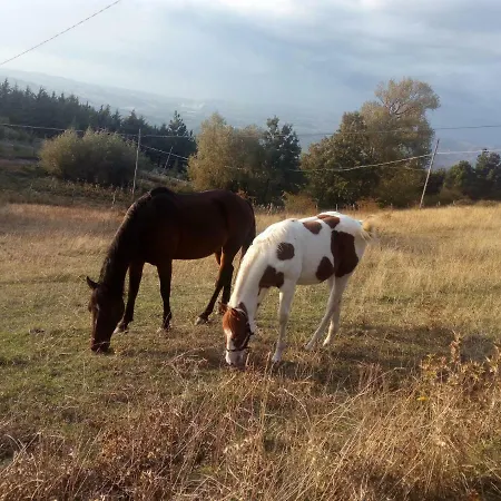 Farm stay La Mangiatoia